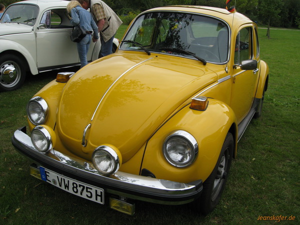 15.08.2010 RE-BEETLE 2010 - Bild 59