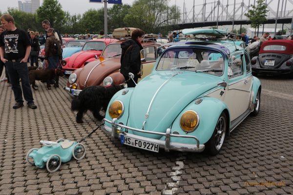 Maikäfertreffen 2014 - Bild 46