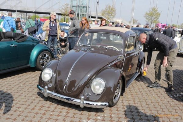 Maikäfertreffen 2017 - Bild 48