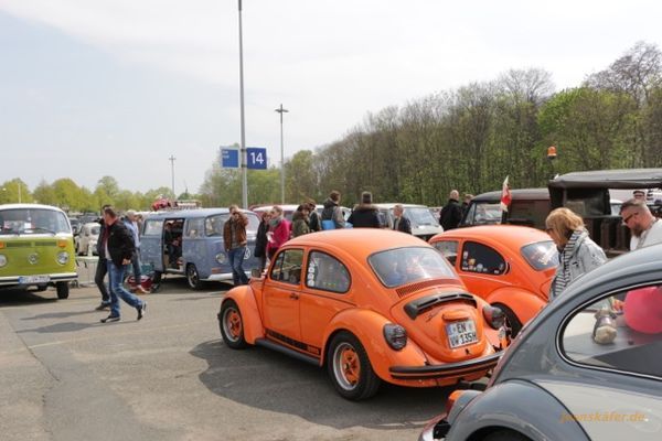 Maikäfertreffen 2017 - Bild 74
