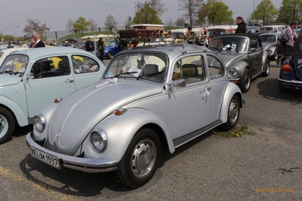 Maikäfertreffen 2017 - Bild 79
