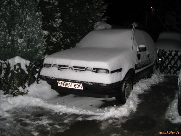 Winter 2009/10 Käfer im Schnee - Bild 5